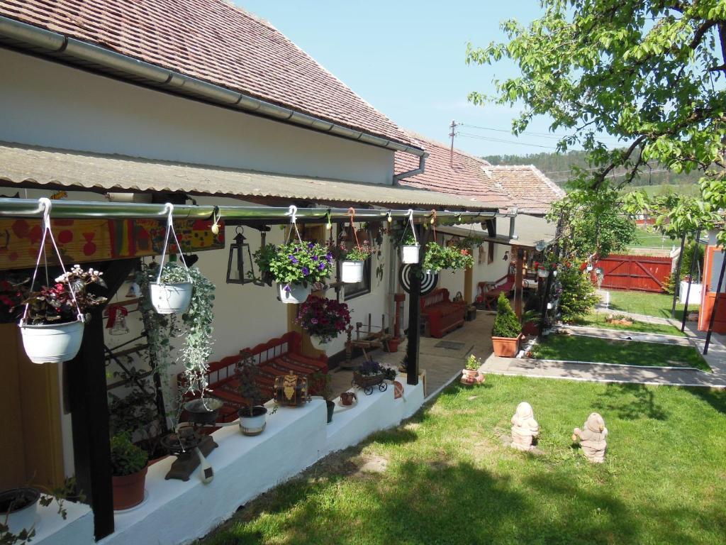 Pension Bassen Bazna Exterior photo