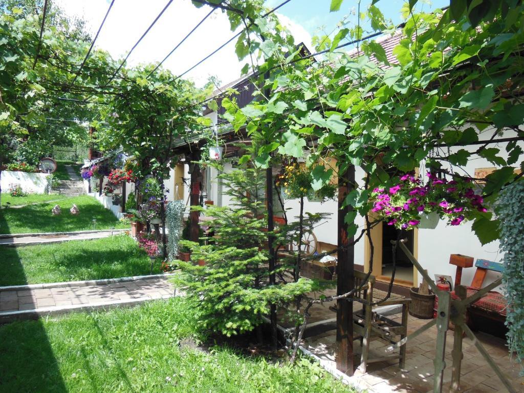 Pension Bassen Bazna Exterior photo