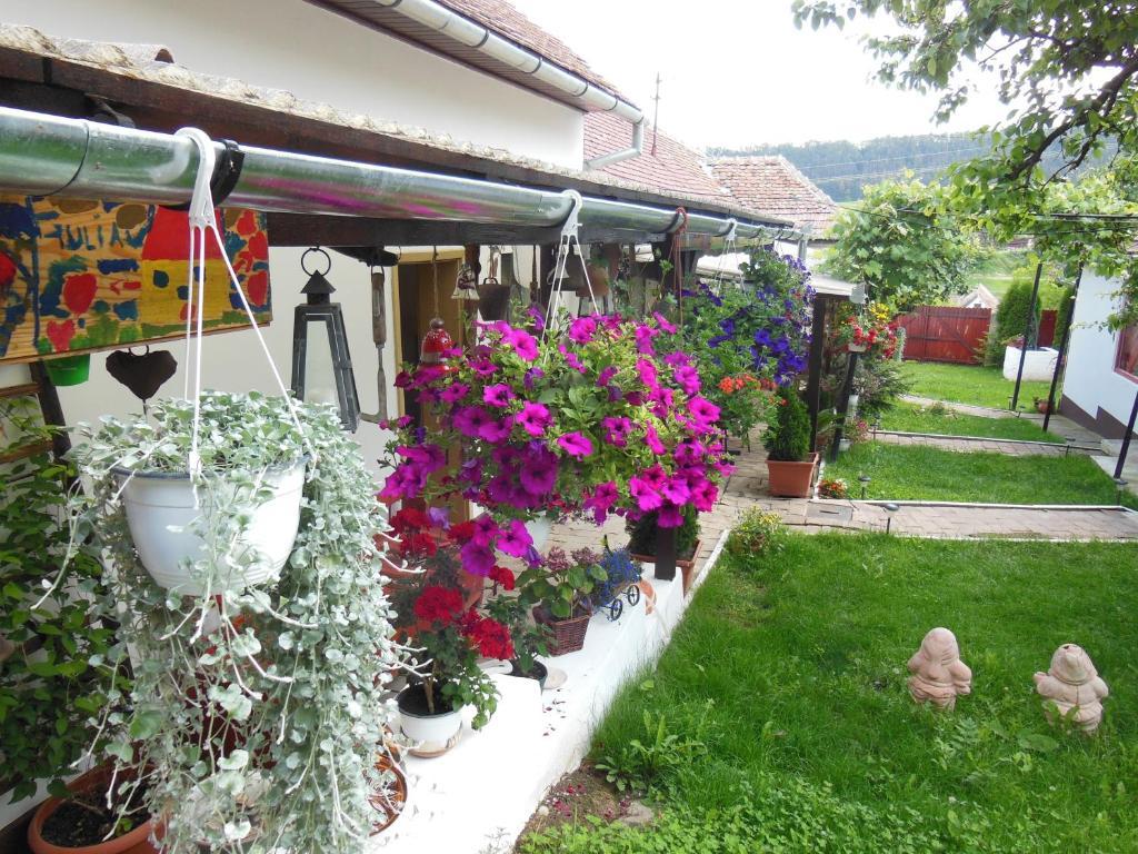 Pension Bassen Bazna Exterior photo