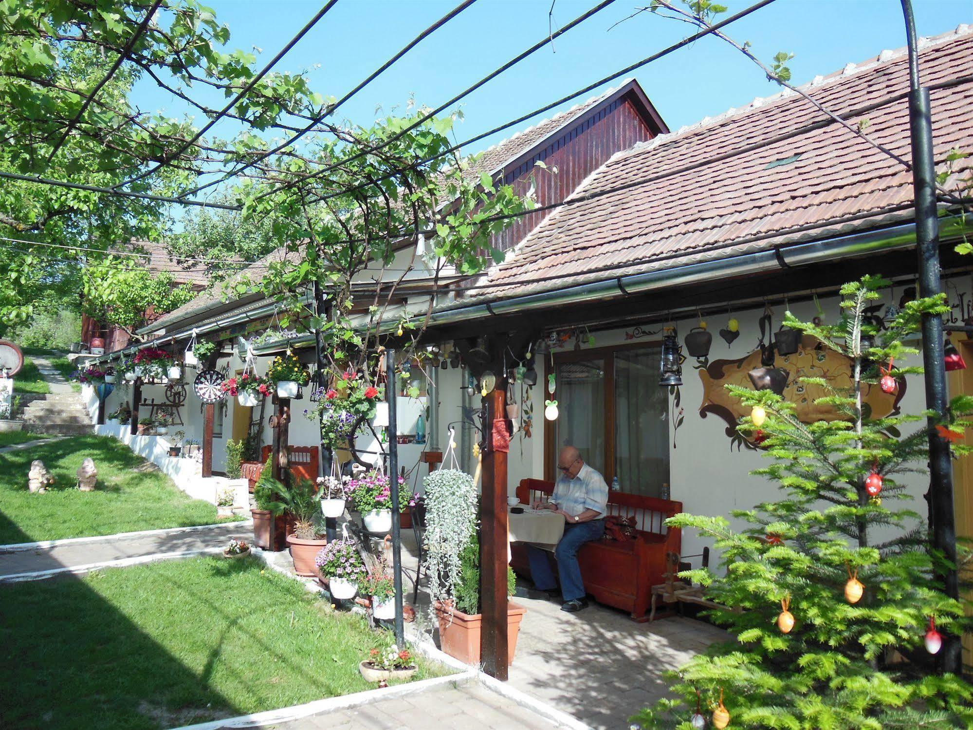 Pension Bassen Bazna Exterior photo
